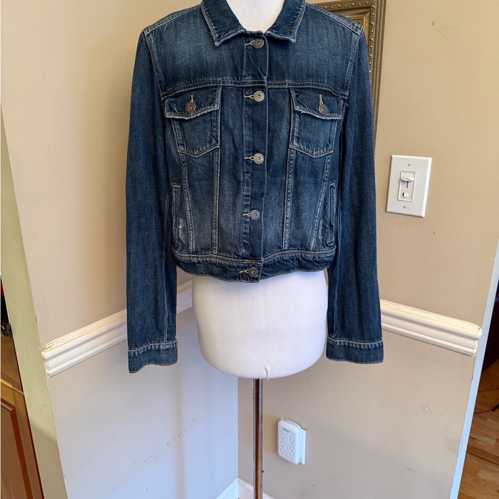 Paige Distressed Cropped Denim Jacket